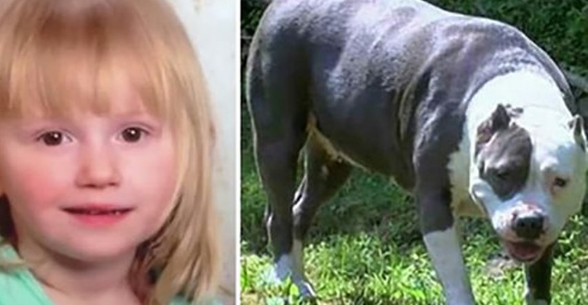 Kujica pit bula je dva dana čuvala djevojčicu koja je nestala iz kuće