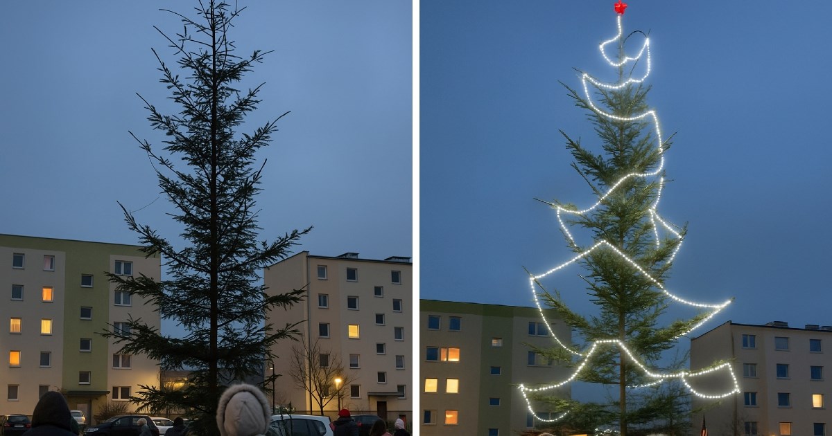 3.2 milijuna pregleda: Božićno drvce u Poljskoj je hit na TikToku