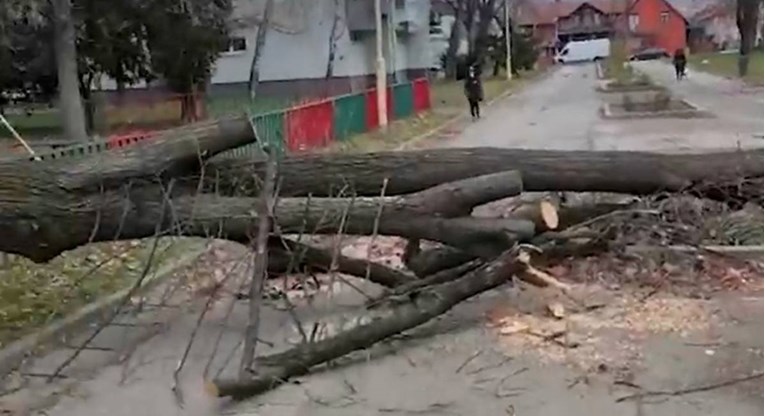 U Osijeku se saniraju štete od oluje. Na tržnici pukla nadstrešnica, rušila se stabla