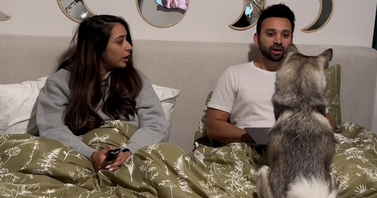 19.5 mil. pregleda: Pas se naljutio jer vlasnik ne sluša suprugu pa mu održao lekciju