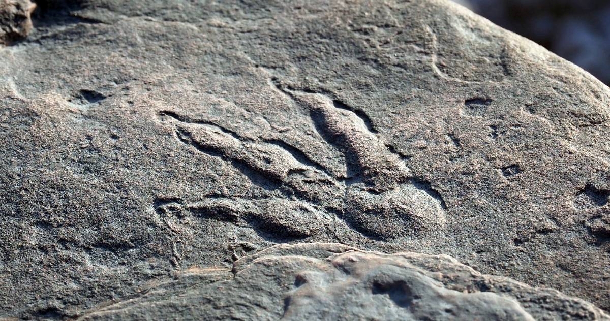 U Walesu otkriveni tragovi ranog dinosaura, stari su 200 milijuna godina