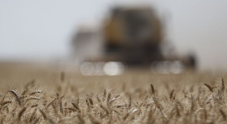 Kina uvela carine Kanadi