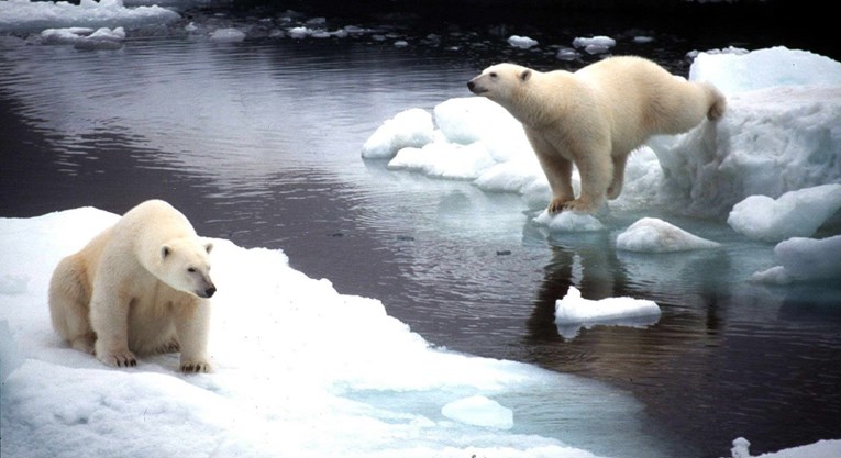 U dijelu Arktika poznatom po polarnim medvjedima temperatura porasla na 22°C
