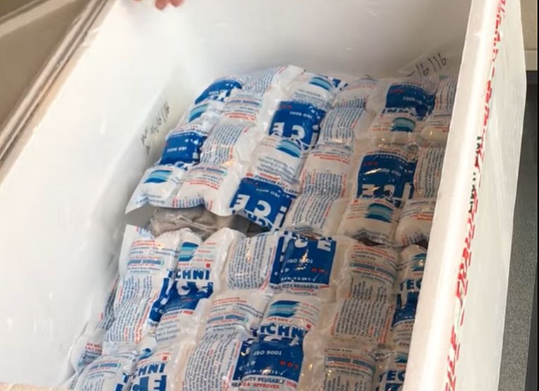 U luci u Kini na paketu smrznute hrane pronađen koronavirus