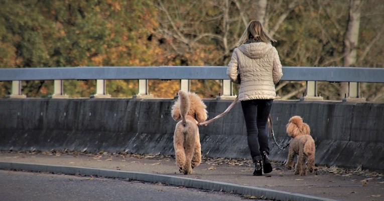 Veterinari apeliraju na vlasnike pasa: “Ne zanemarujte važnost ove navike”