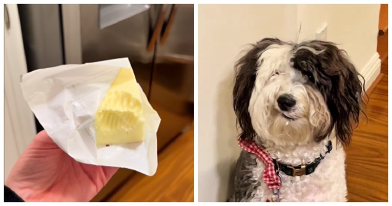 VIDEO Vlasnica ju je upitala zna li tko je pojeo maslac, izraz kujice govori sve