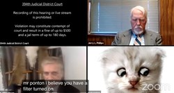 VIDEO Odvjetnik zaboravio isključiti filter, na online suđenju se pojavio kao mačka