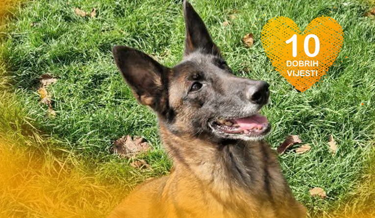 10 dobrih vijesti tjedna