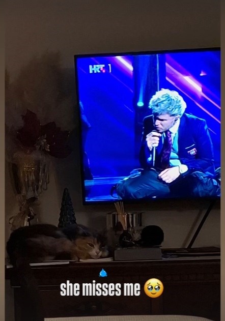 Baby Lasagna objavio fotku svoje mačke kako leži uz televizor: "Nedostajem joj"