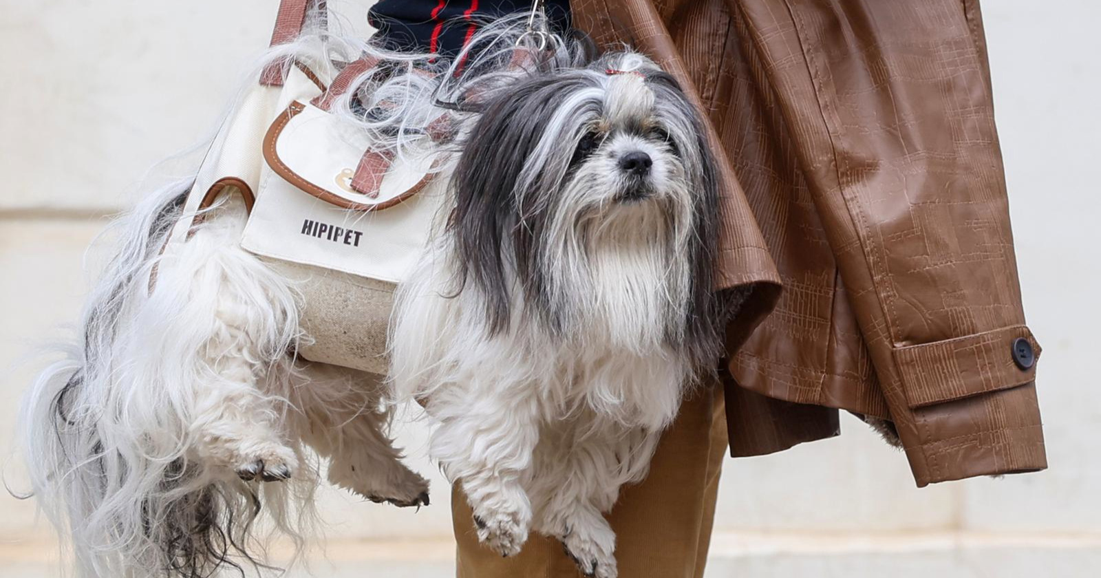 ANKETA Što mislite o torbicama za pse? Tip danas privukao pažnju u Zagrebu
