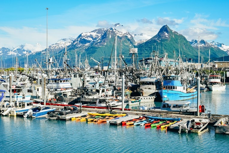 Mnogi Rusi pate za Aljaskom. "Naša duša pati, tamo žive naši medvjedi"