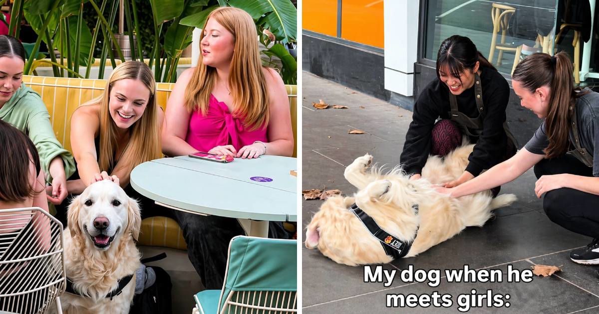 Zlatni retriver jako je sretan u društvu žena, znanost ima objašnjenje