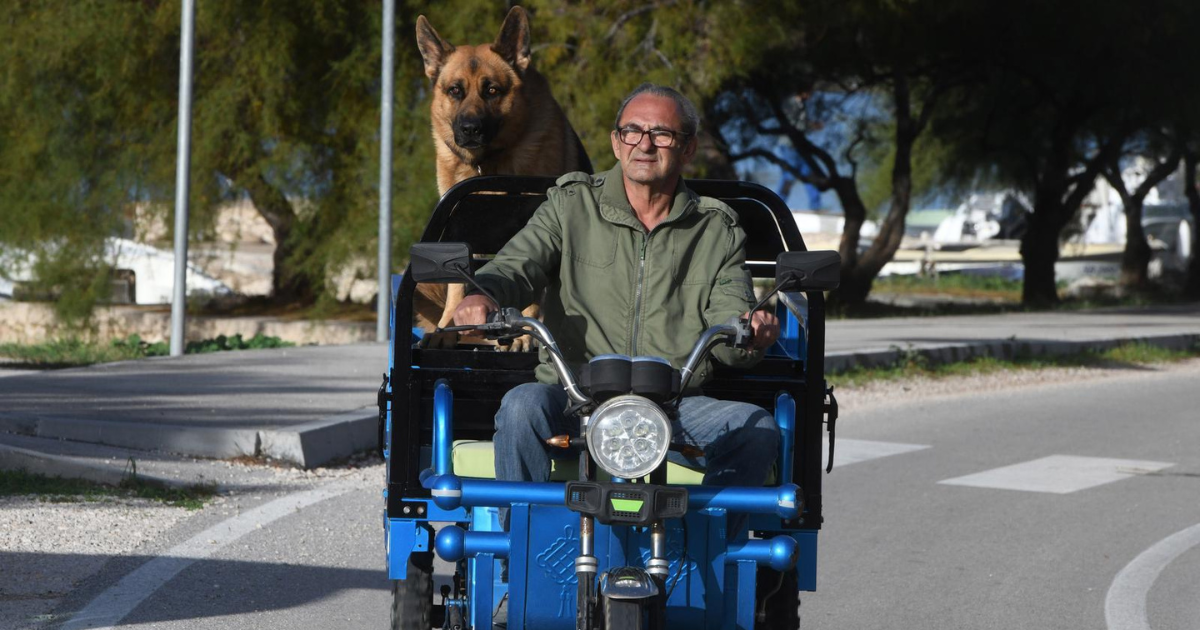 FOTO Pas kod Šibenika vozio se u prikolici motocikla, uživao je