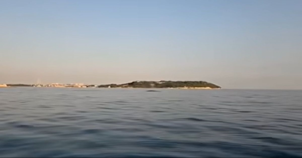 VIDEO Kod Pule snimljen kit