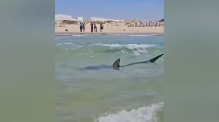 VIDEO Muškarac u Izraelu nestao nakon napada morskog psa, šire se snimke