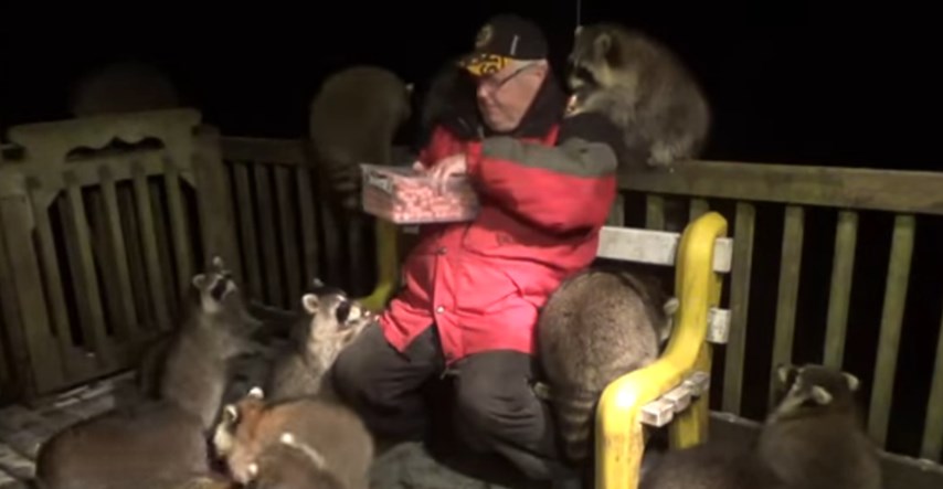 Muškarac svaku večer rakune hrani hrenovkama, snimka je postala viralna