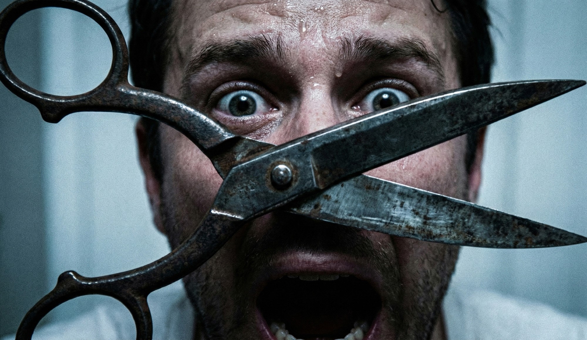 Kastracija bi mogla produ&#x17E;iti &#x17E;ivot mu&#x161;karcima, tvrdi nova studija