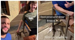 Engleski nogometaši sa sobom iz Katara doveli maskotu, mačka Davea: "Obožavam ga"