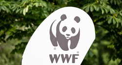 Rusija zabranjuje ekološku skupinu WWF, kaže da su strani agenti