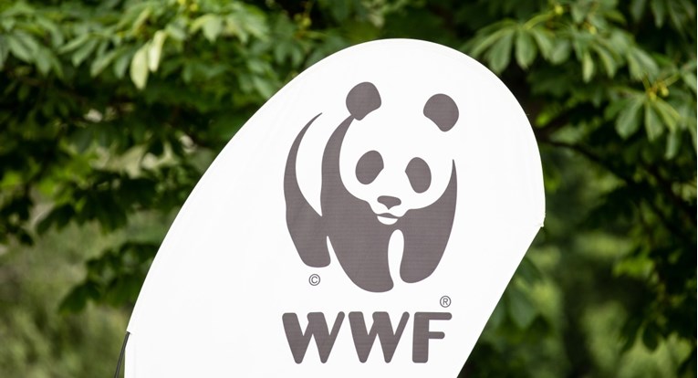 Rusija zabranjuje WWF, kaže da su strani agenti. Putin ih hvalio prije tri godine