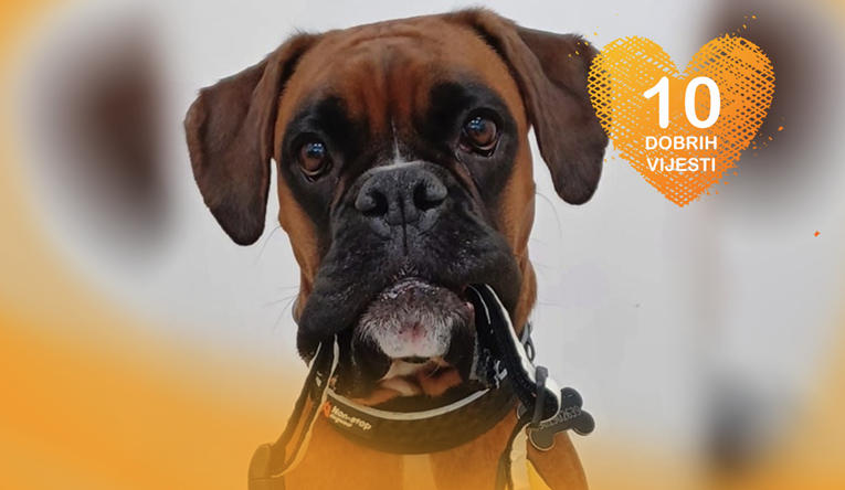 10 dobrih vijesti tjedna