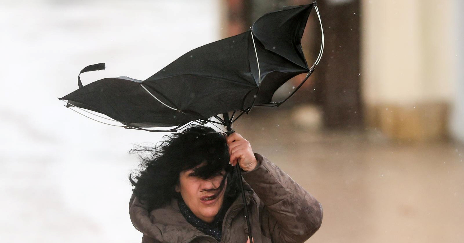 Ako ste ovo danas bili vi - ovaj tekst je sve što će vas zanimati u budućnosti