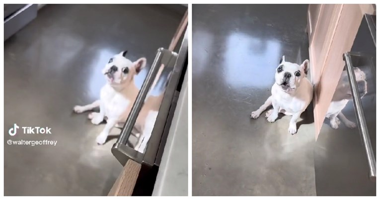 22 milijuna pregleda: Nisu mu htjeli dati komad slanine. Njegova reakcija je sve