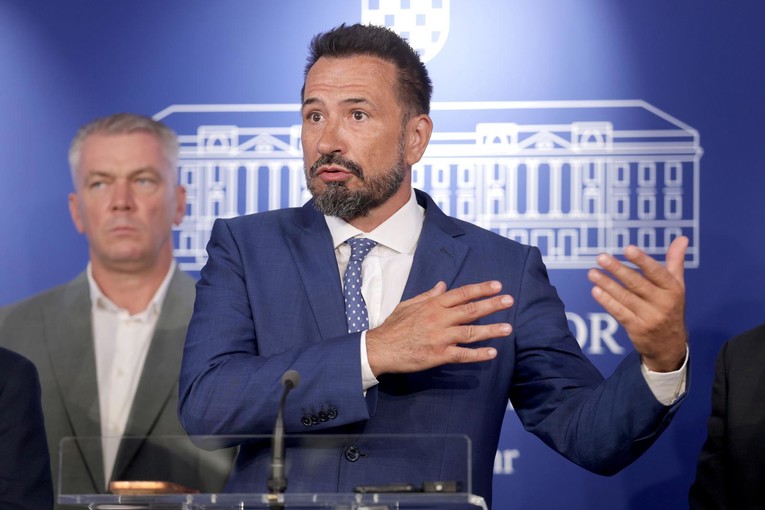 Peternel iz Domina: Zašto Hrvatska uopće uvozi otpad? Ovo je terorizam