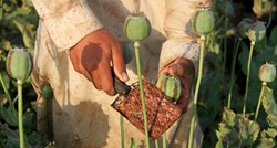 UN: Afganistan više nije najveći proizvođač opijuma