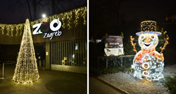 FOTO Lampice, snjegovići, Djed Mraz: Pogledajte kako je uređen zoološki vrt u Zagrebu