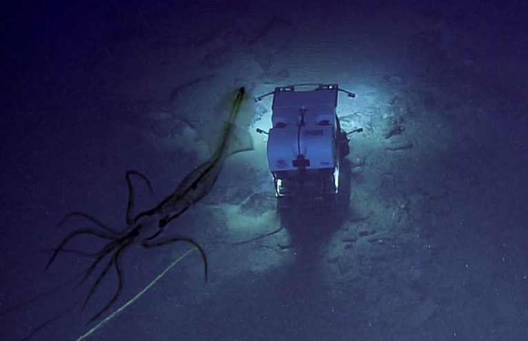 Jeziva fotka otkrila što je vrebalo vozilo za istraživanje dubokog mora