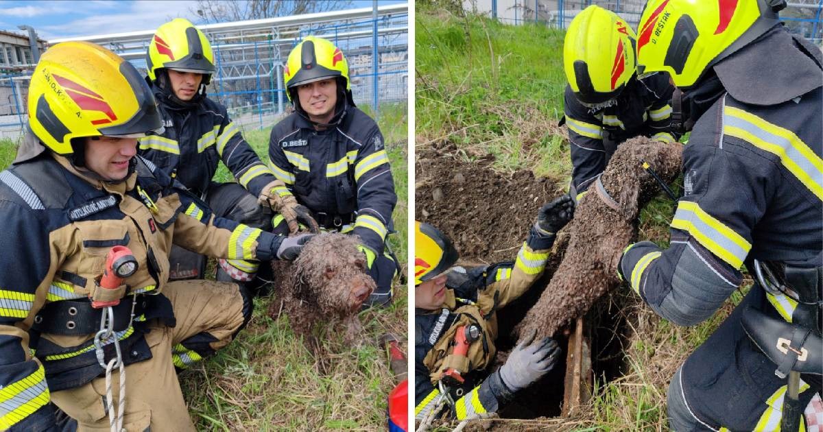 Zagrebački vatrogasci nakon nevremena imali 845 intervencija. Spasili i psa iz šahta