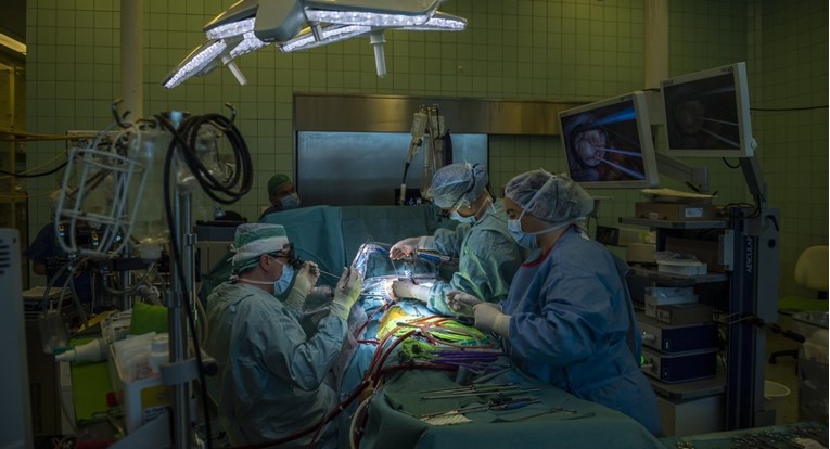 Njemački liječnici u iduće dvije godine planiraju čovjeku presaditi svinjsko srce