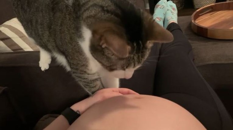 Mačka raznježila reakcijom na trudnički trbuščić: "Sad se ne želi odvojiti od mene"