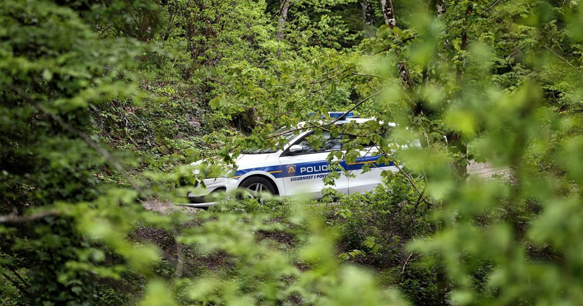 Ubio jelena u šumi kod Strošinaca pa uzeo glavu s rogovima. Traži ga policija