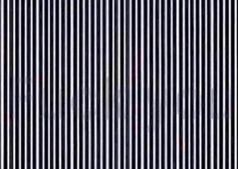Optička iluzija je hit zbog proste poruke koju ćete vidjeti ako zatresete glavom