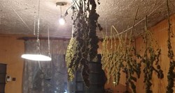 FOTO Osječanin u improviziranom laboratoriju uzgajao marihuanu