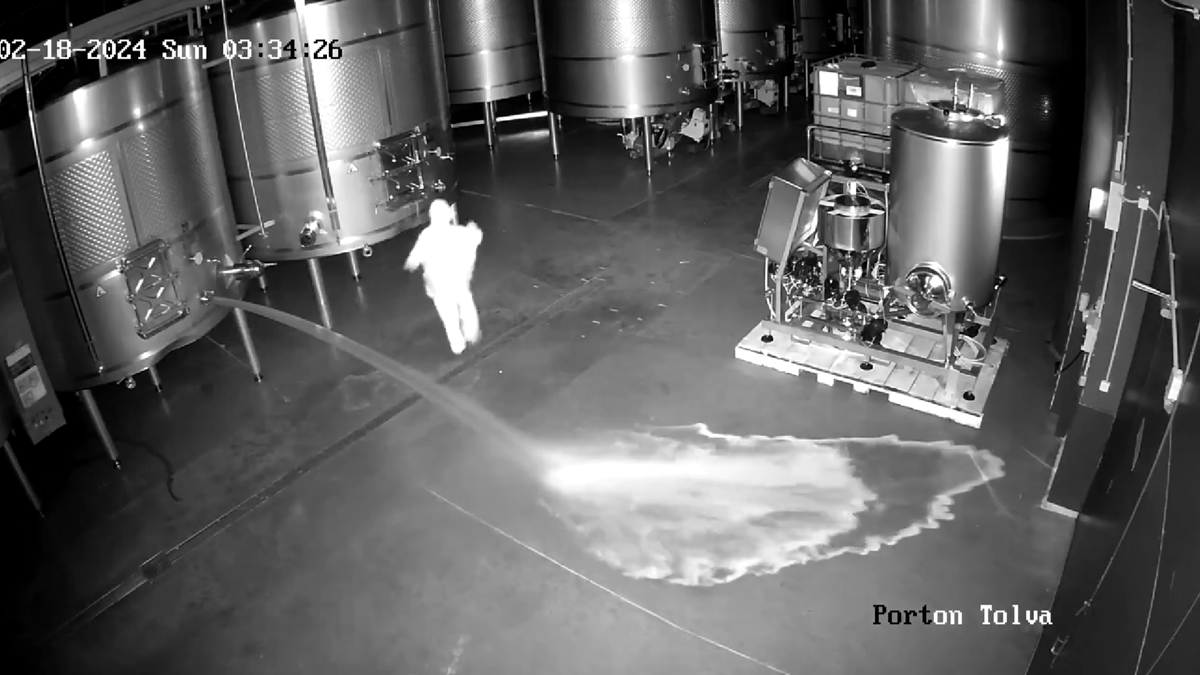 VIDEO U Španjolskoj provalio u vinariju i prolio 60.000 litara vina