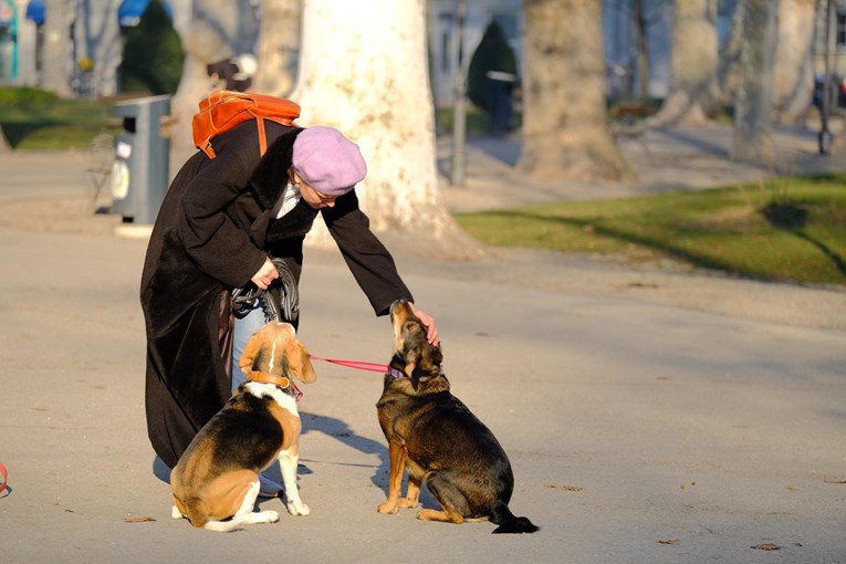 Kažnjena je sa 113 eura jer nije imala vrećicu u šetnji, iako pas nije obavio nuždu