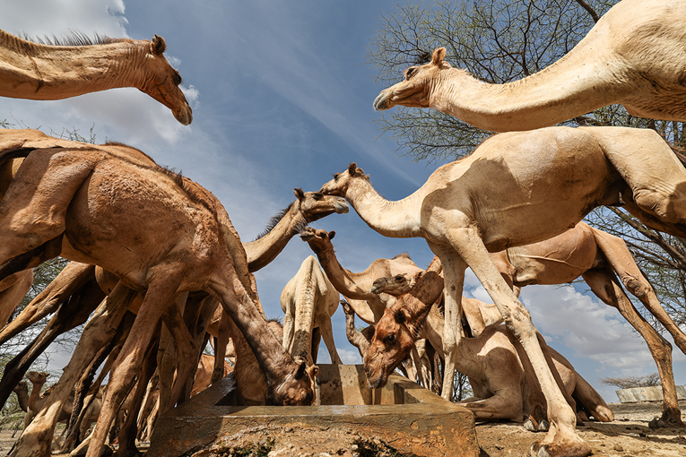 Rekordna energetska neravnoteža Zemlje prijeti novim toplinskim valovima