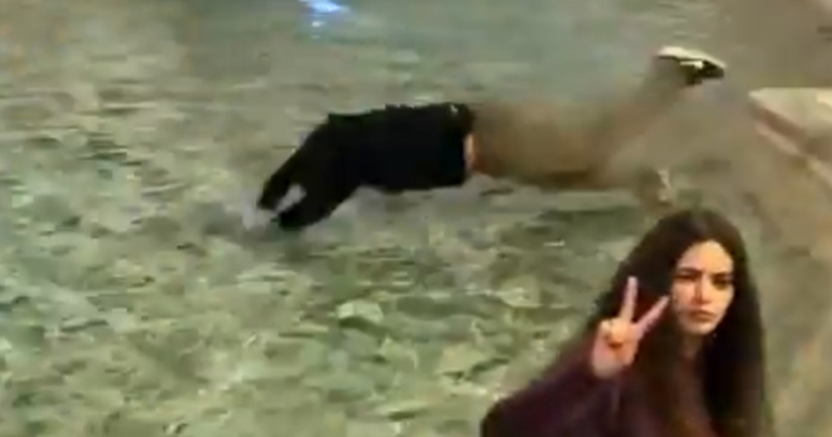 VIDEO Turist plivao po Fontani di Trevi, Talijani bijesni. "Ovo je za zatvor"