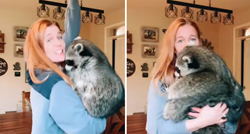 Žena odgovorila na prozivke da rakuni ne mogu biti kućni ljubimci, video je hit