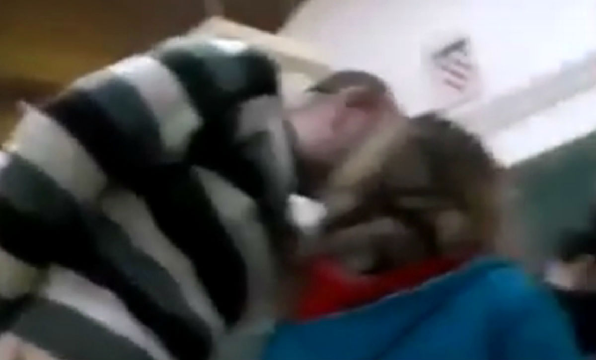 VIDEO Internetom kruži snimka maltretiranja nastavnika kod Varaždina