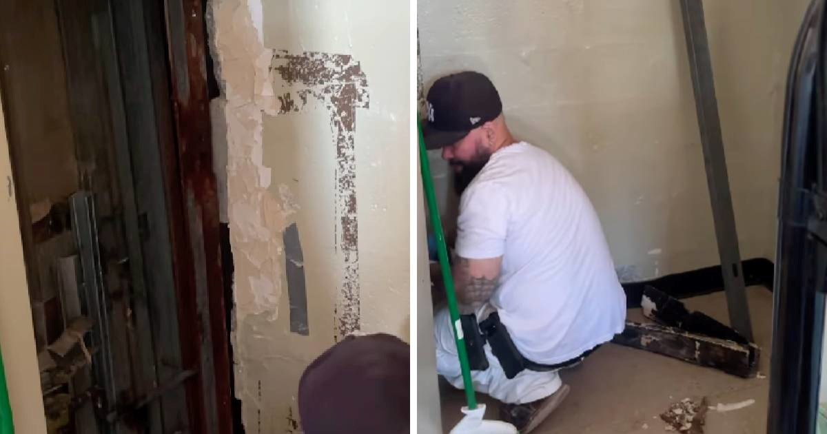 Godinama ju mučili štakori, a onda shvatila odakle dolaze. Snimka šokirala milijune