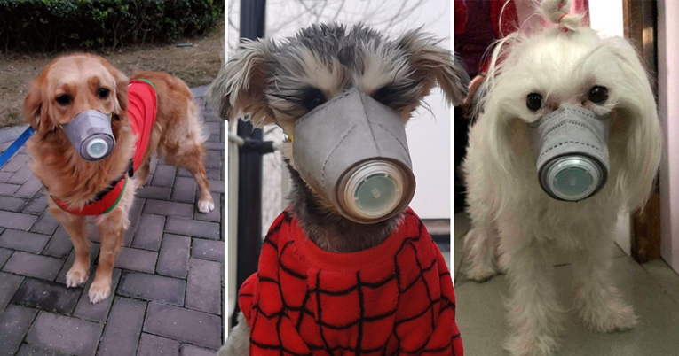 Vlasnici kupuju maske za pse kako bi ih zaštitili od smrtonosnog koronavirusa