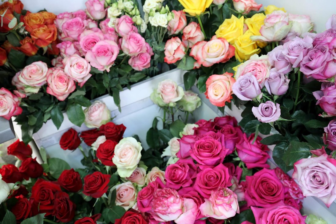 "Za 30 eura ne možete dobiti ništa": Splićanku naljutilo iskustvo u cvjećarni