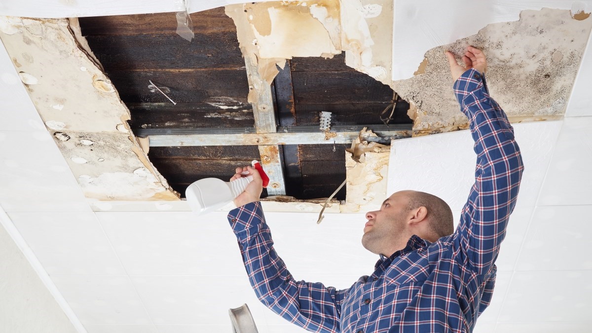 Velike kiše i poplave donijele su problem vlage i plijesni koji nije odmah vidljiv