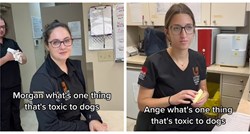 Veterinarke otkrile koje namirnice su otrovne za pse, video je viralan