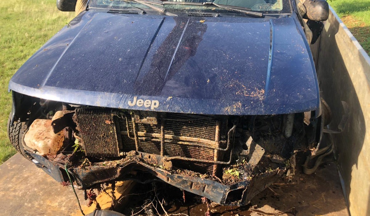 Muškarac kod Omiša autom pregazio stado od tridesetak ovaca