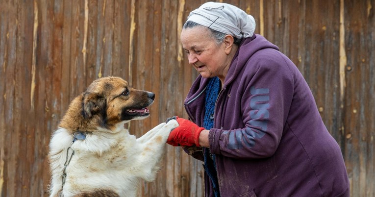 Revolucionarni lijek: Uskoro stiže tretman protiv starenja za pse